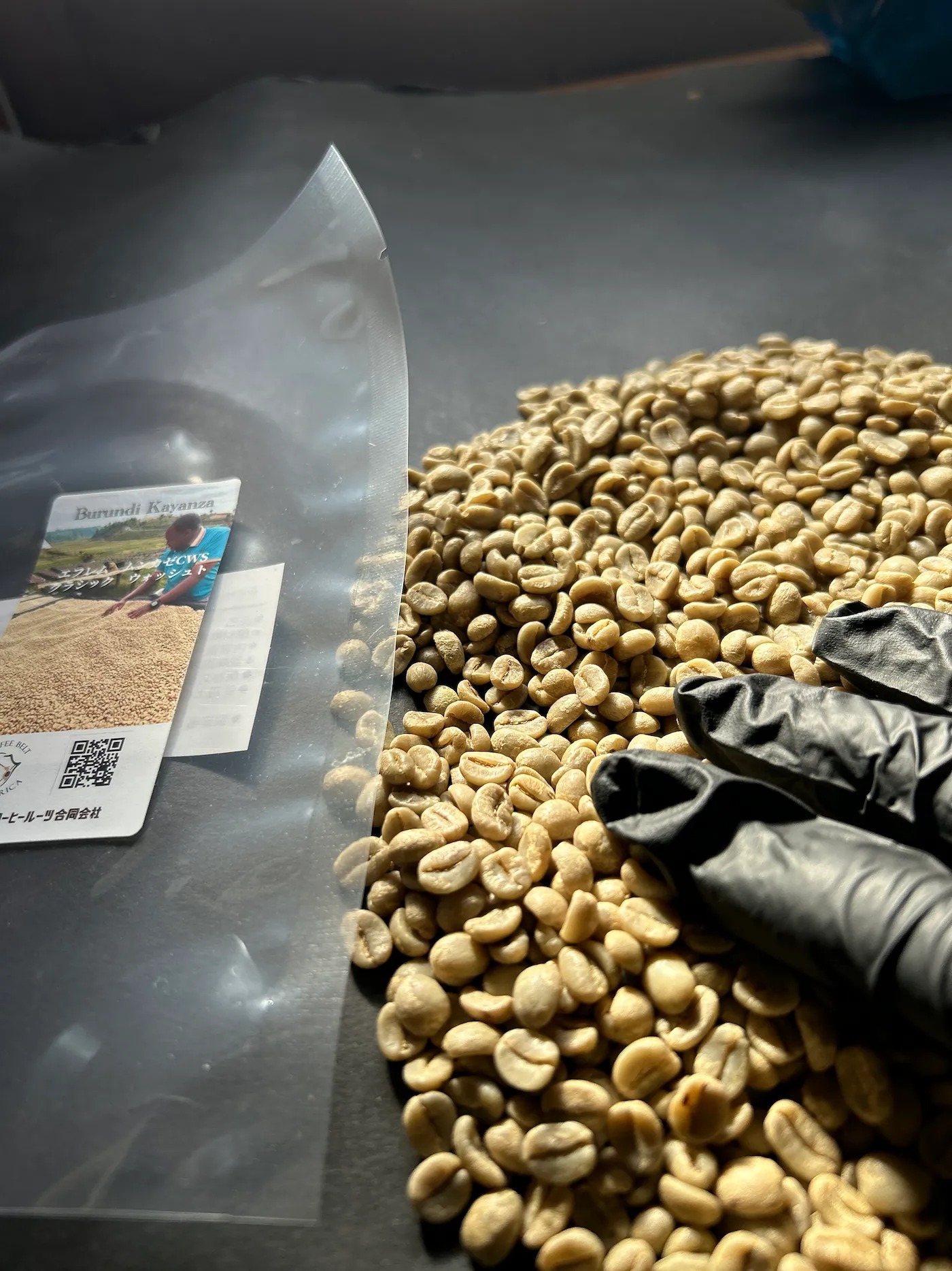 コーヒーの生豆を手で選別して品質を確認している様子